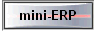 mini-ERP