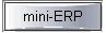 mini-ERP